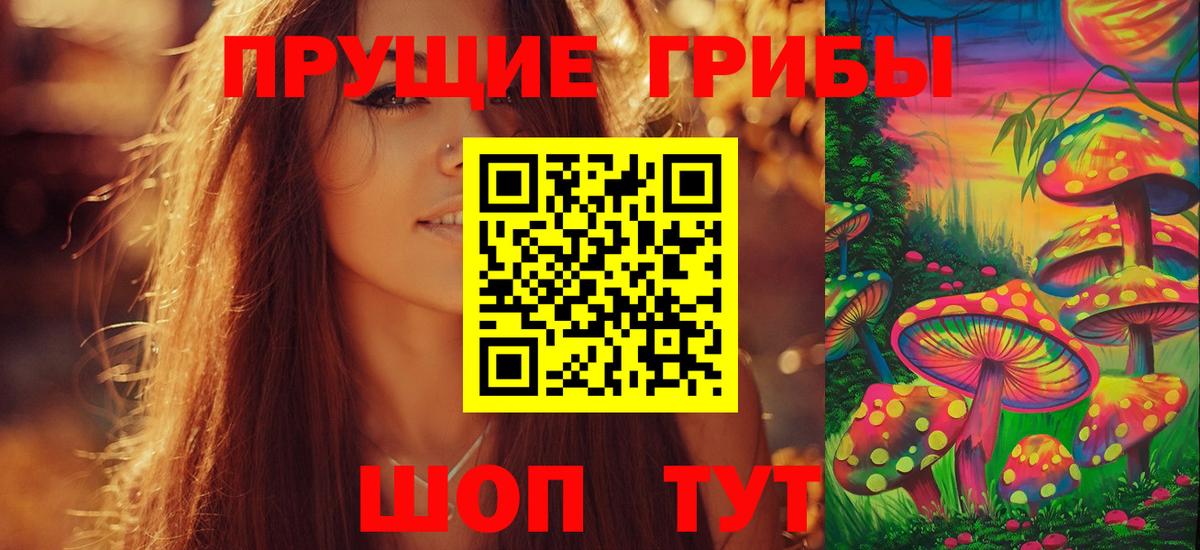 Псилоцибиновые грибы Psilocybine cubensis Воскресенск