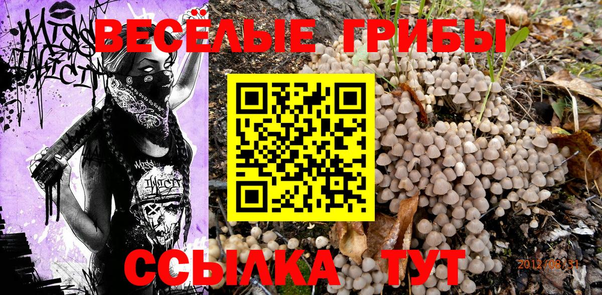 Воскресенск  наркотики  Вход с VPN  Галлюциногенные грибы ЛСД  Галлюциногенные грибы ЛСД 